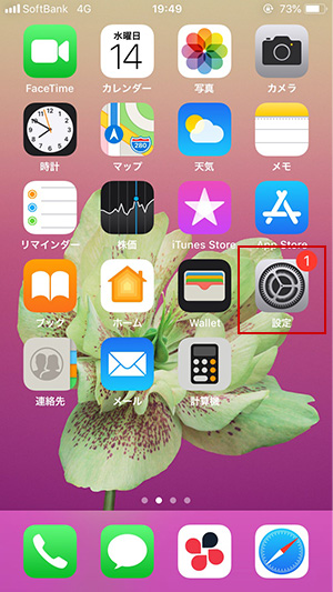 iPhone