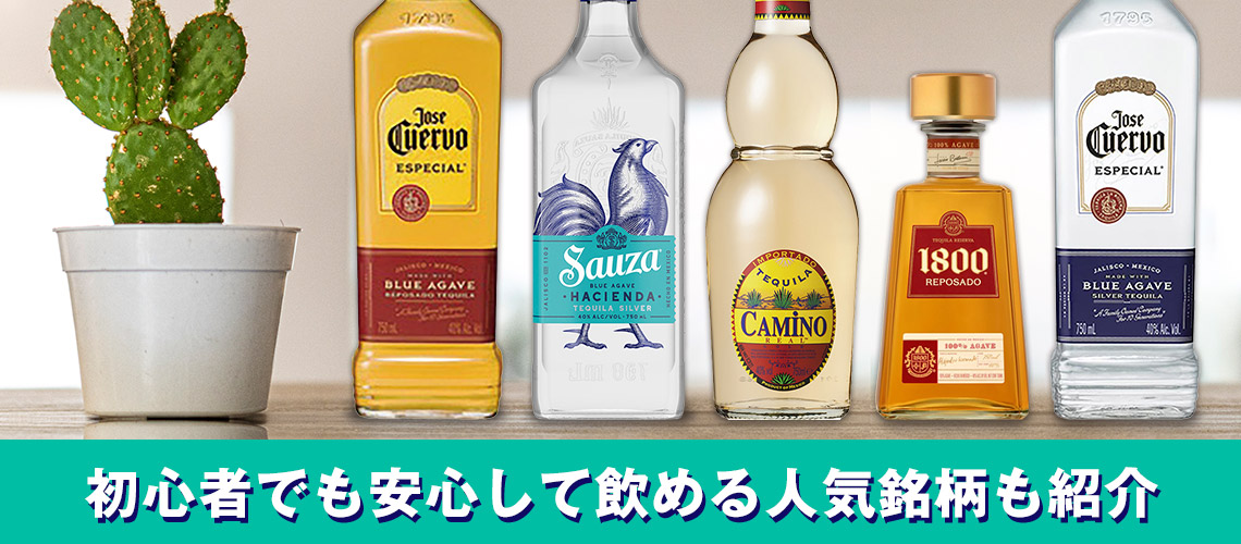 飲み方・選び方も紹介