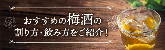 おすすめの梅酒の割り方・飲み方をご紹介！